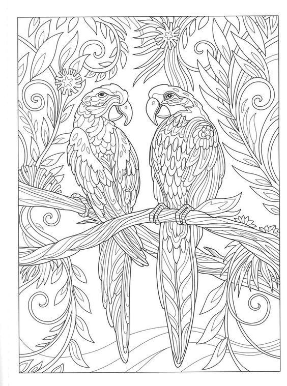 Pin by barbara on coloring parrot detailed coloring pages bird coloring pages mandala coloring pages