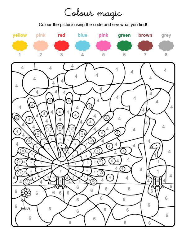Colour