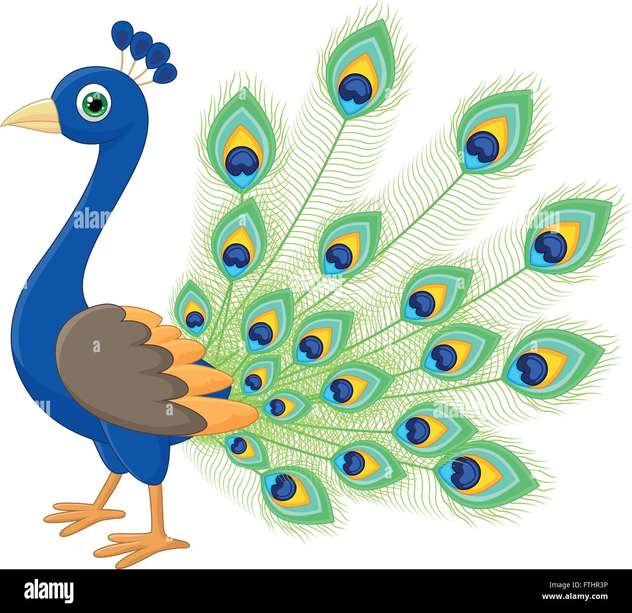 Decorative peacock feather cut out stock images pictures