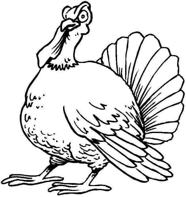 Thanksgiving turkey