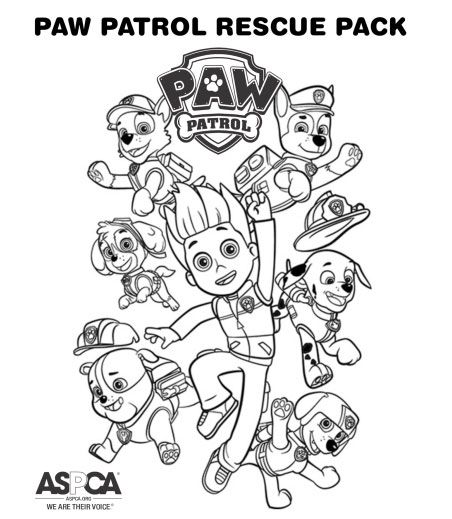 Paw patrol ideas paw patrol birthday party paw patrol party paw patrol birthday