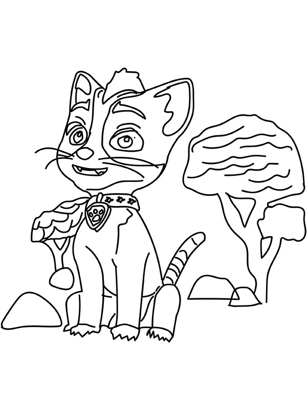 Coloring book paw patrol cats to print and online