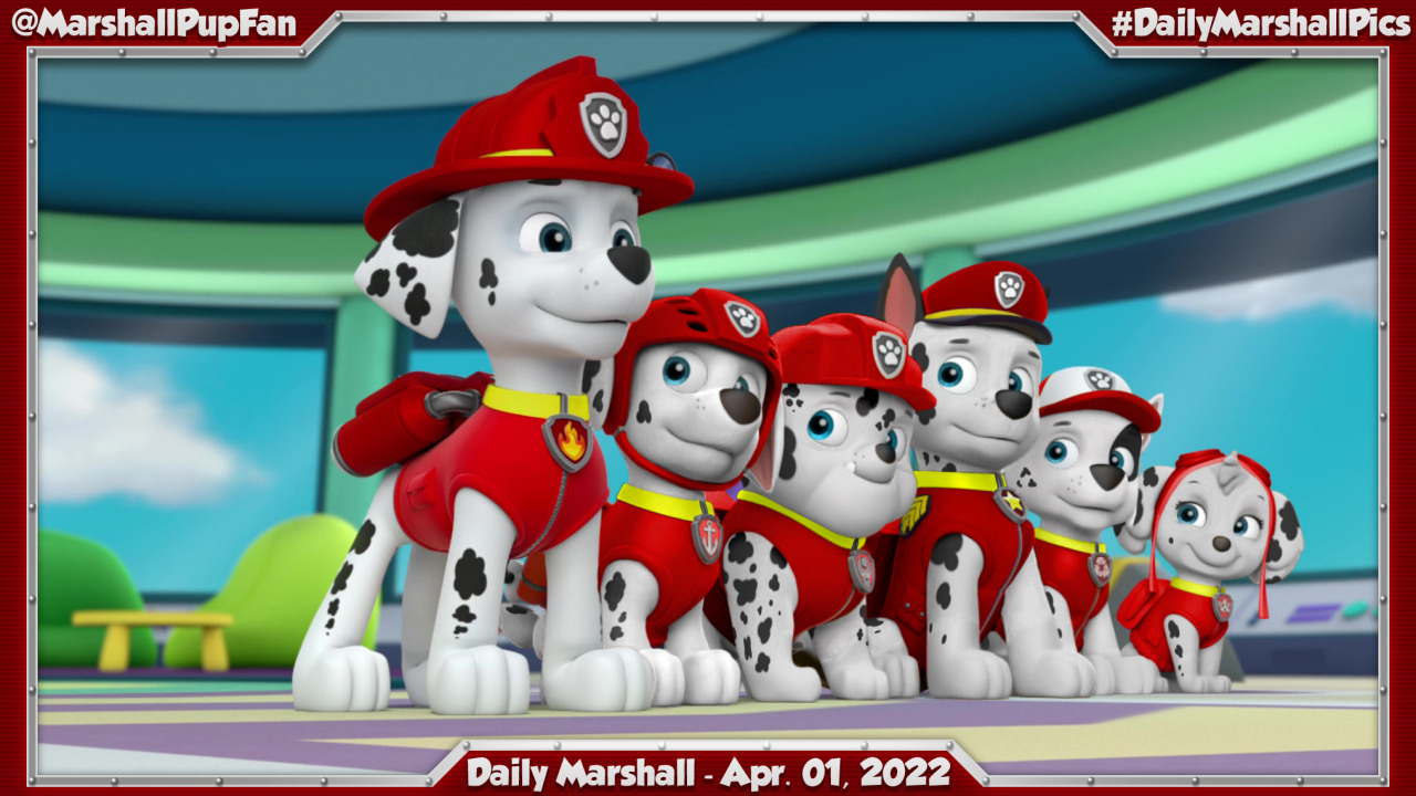 Marshall pup fanatic â pawpatrolpup pawpatrolpup