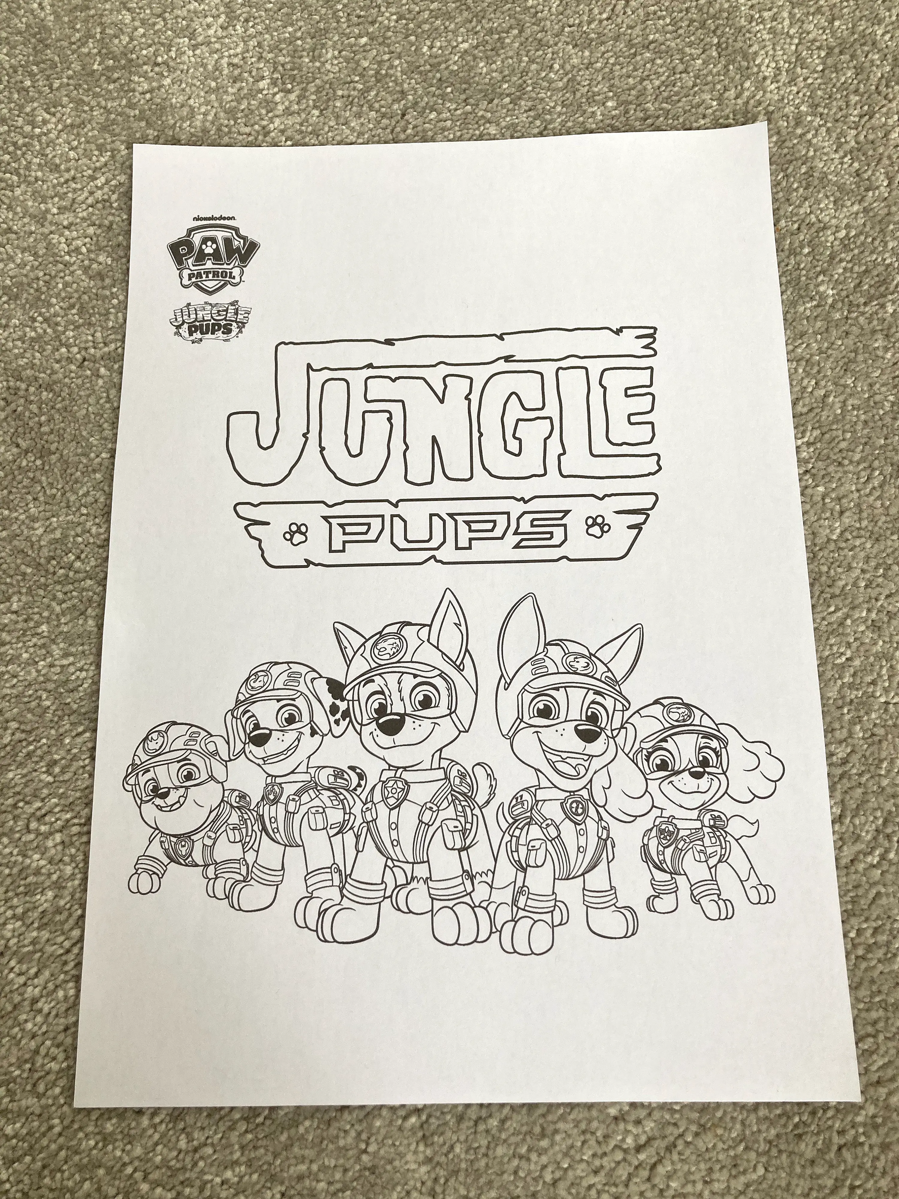 Free paw patrol colouring sheets