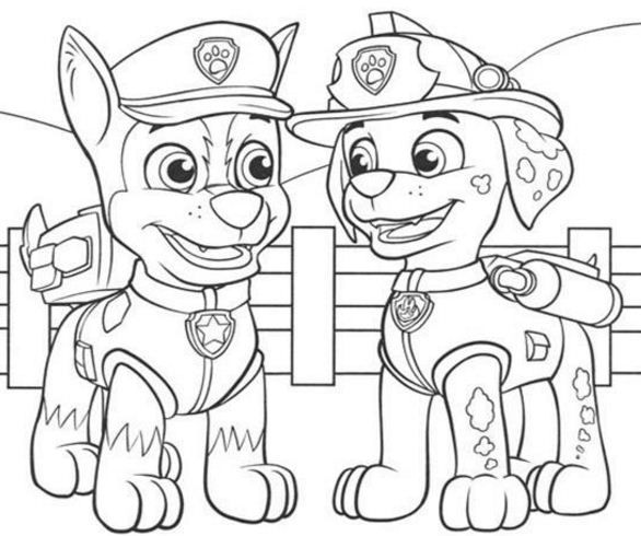 Paw patrol skye coloring page