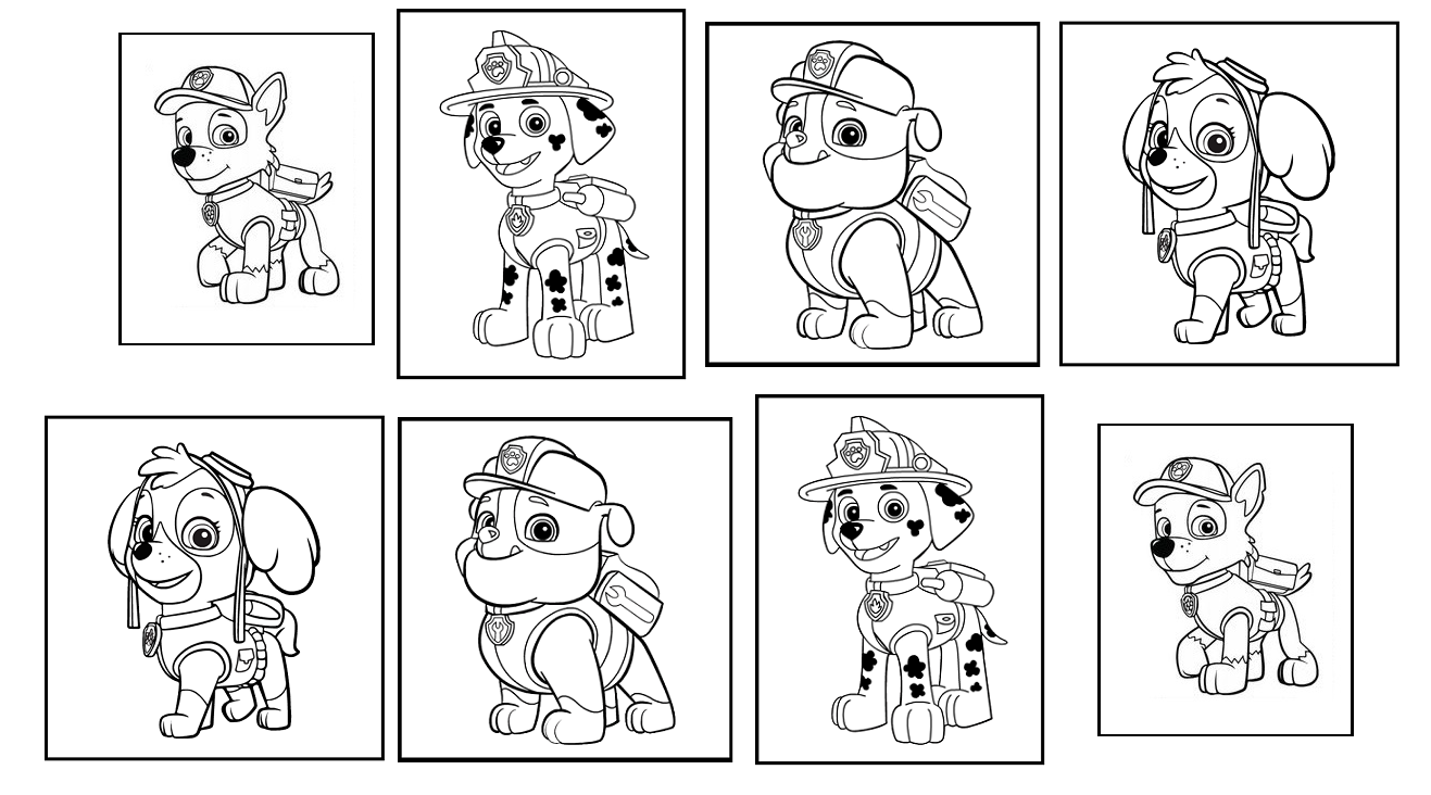 Paw patrol characters coloring