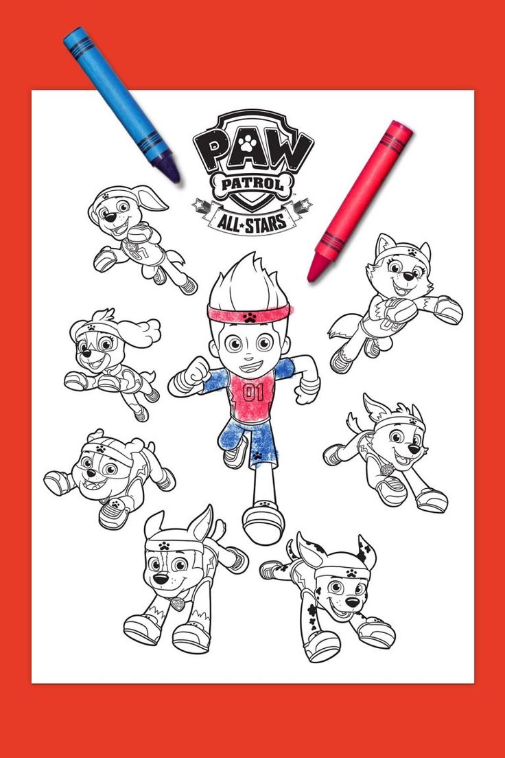 Paw patrol all