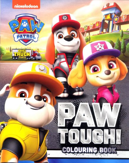 Learning is fun nickelodeon paw patrol pp coloring book