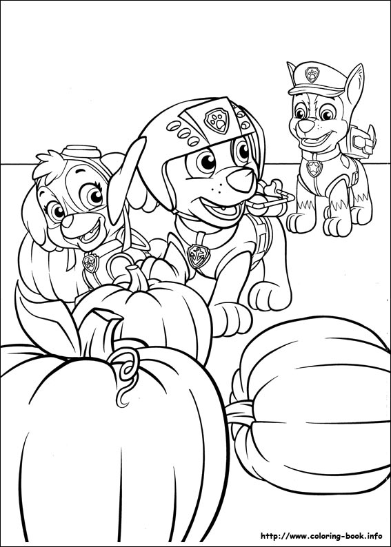 Paw patrol coloring picture