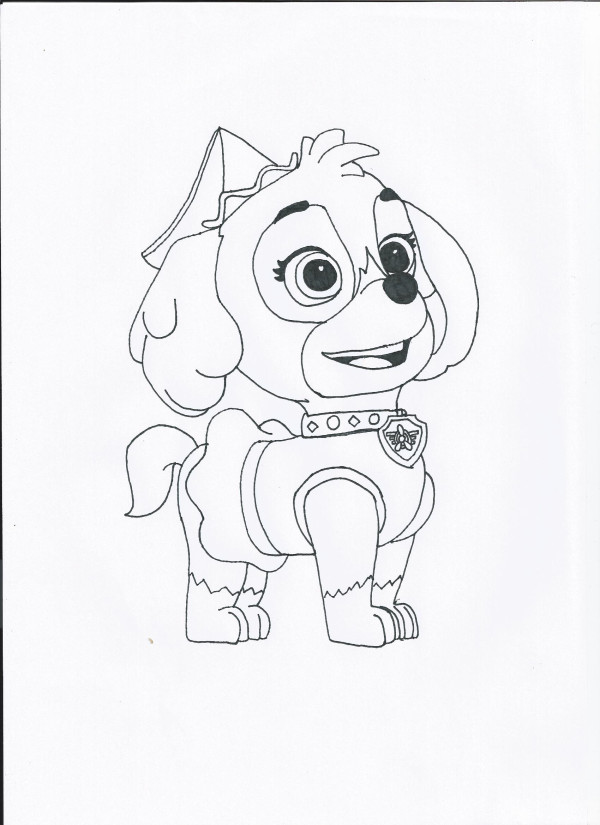 Paw patrol halloween skye by pawpatrolfan on