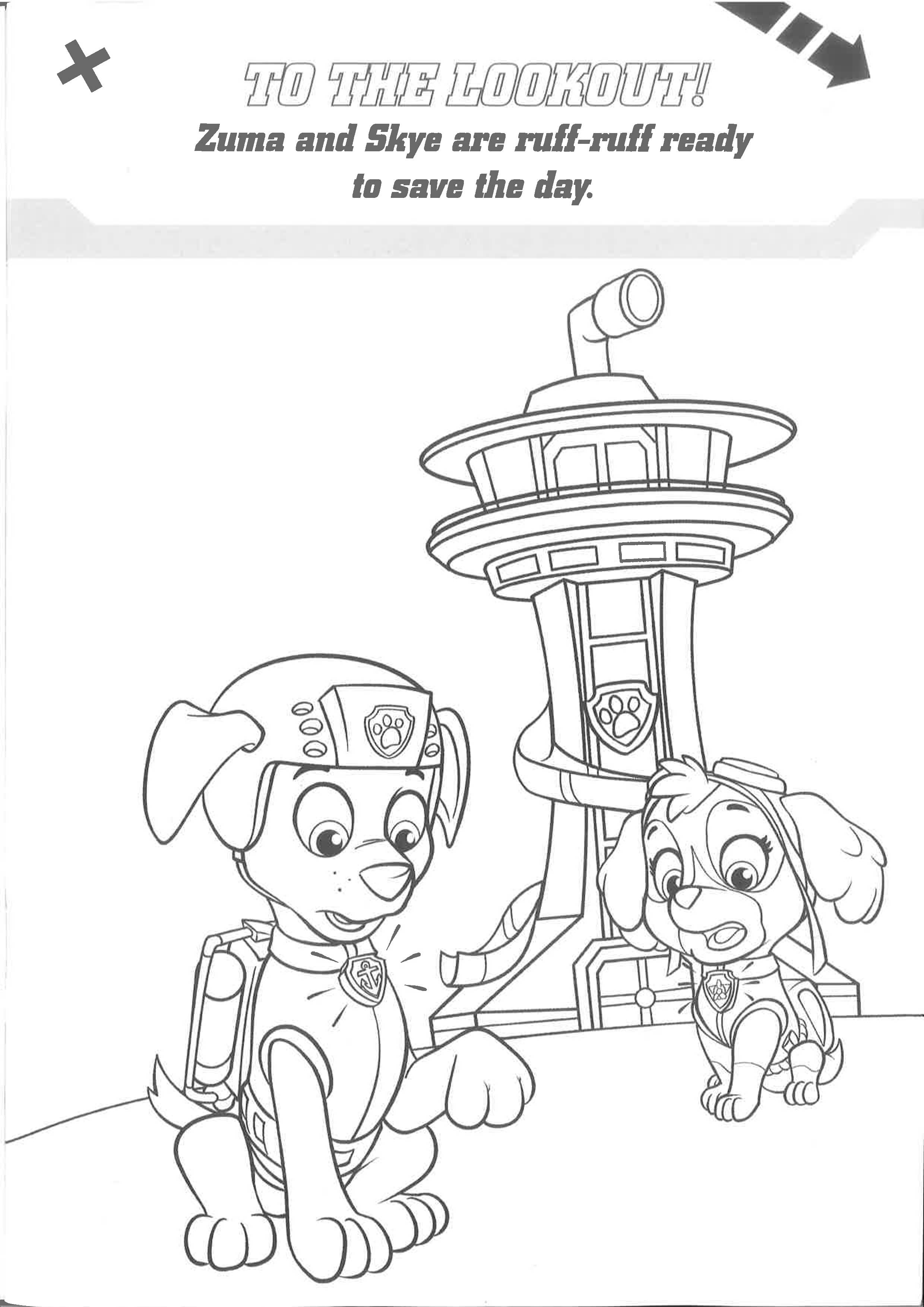 Paw patrol colouring book â