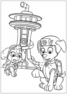 Paw patrol