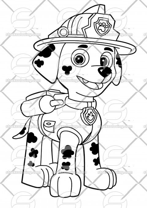 Paw patrol marshall drawing printable coloring page colorear patrulla canina patrulla canina dibujos patrulla canina para pintar