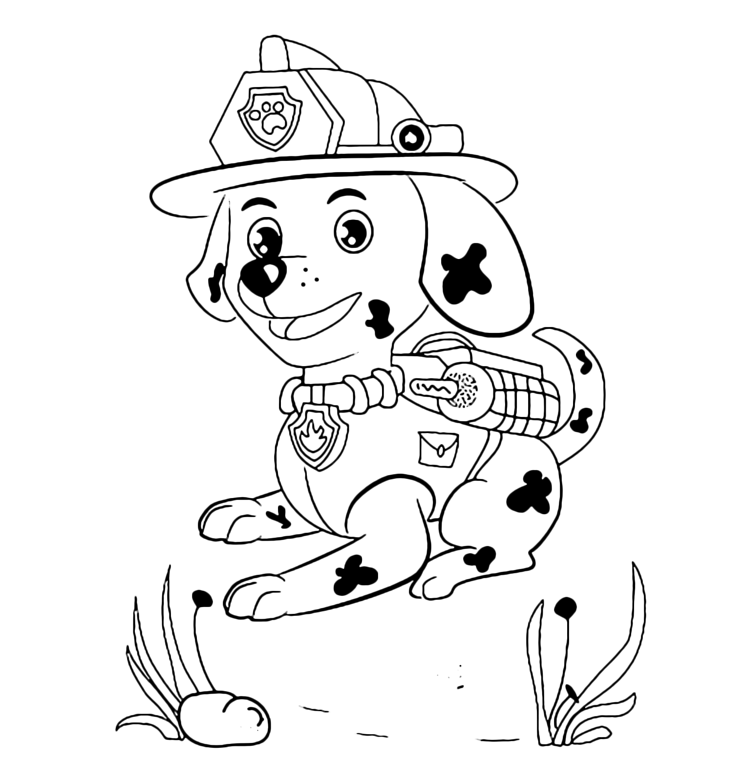 Paw patrol