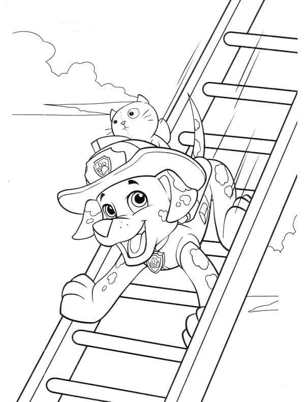 Marshall pup fanatic â found some really neat coloring pages of marshall