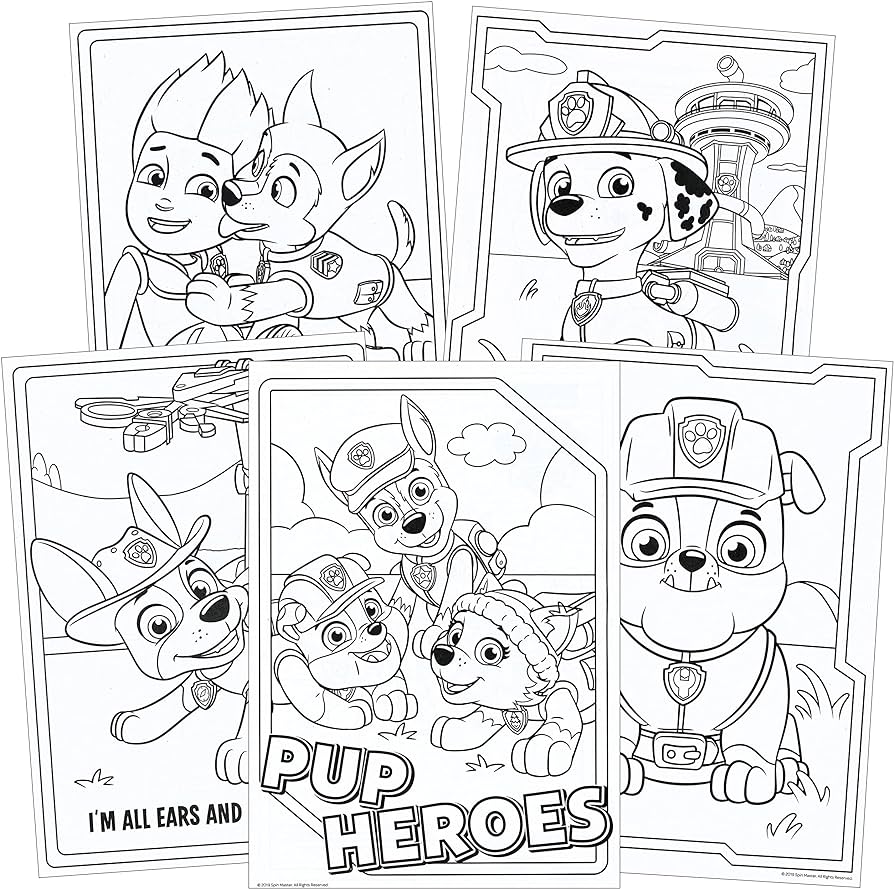 Paw patrol coloring book and stickers