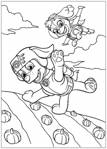 Paw patrol