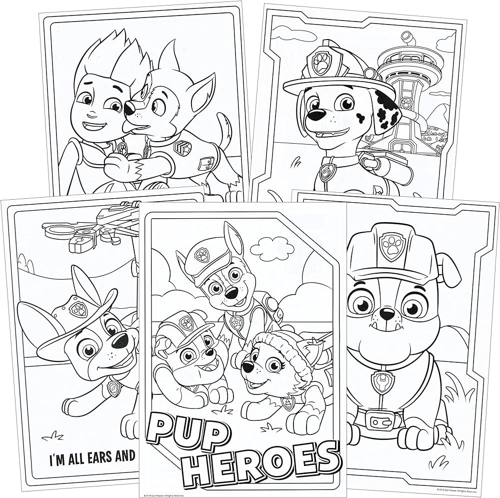 Paw patrol coloring book and stickers