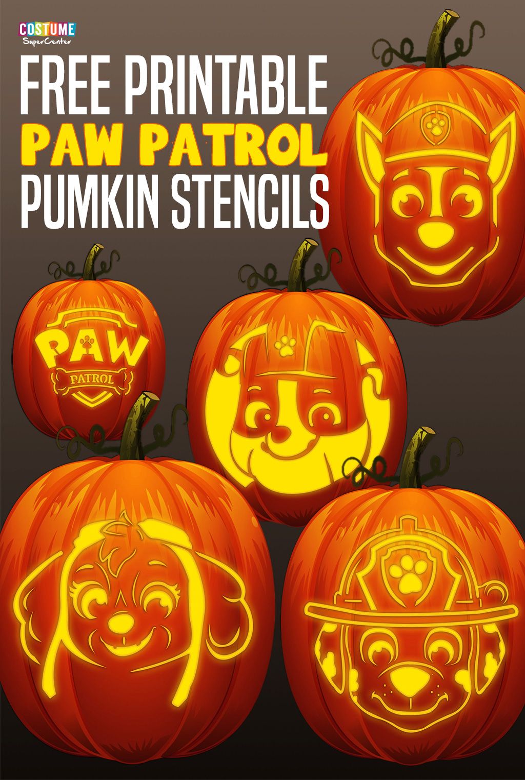 Paw patrol birthday ideas paw patrol birthday paw patrol paw