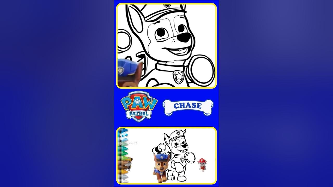 Ð drawing paw patrol characters ð chase paw patrol drawing easy ðµ