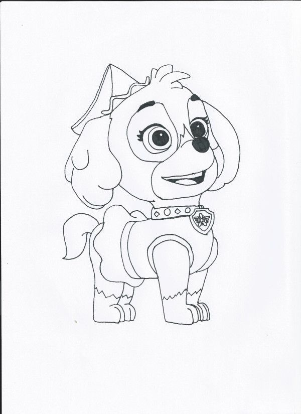 Color sky paw patrol halloween