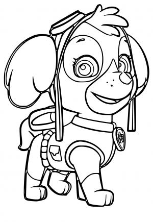 Free printable skye paw patrol coloring pages sheets and pictures for adults and kids girls and boys