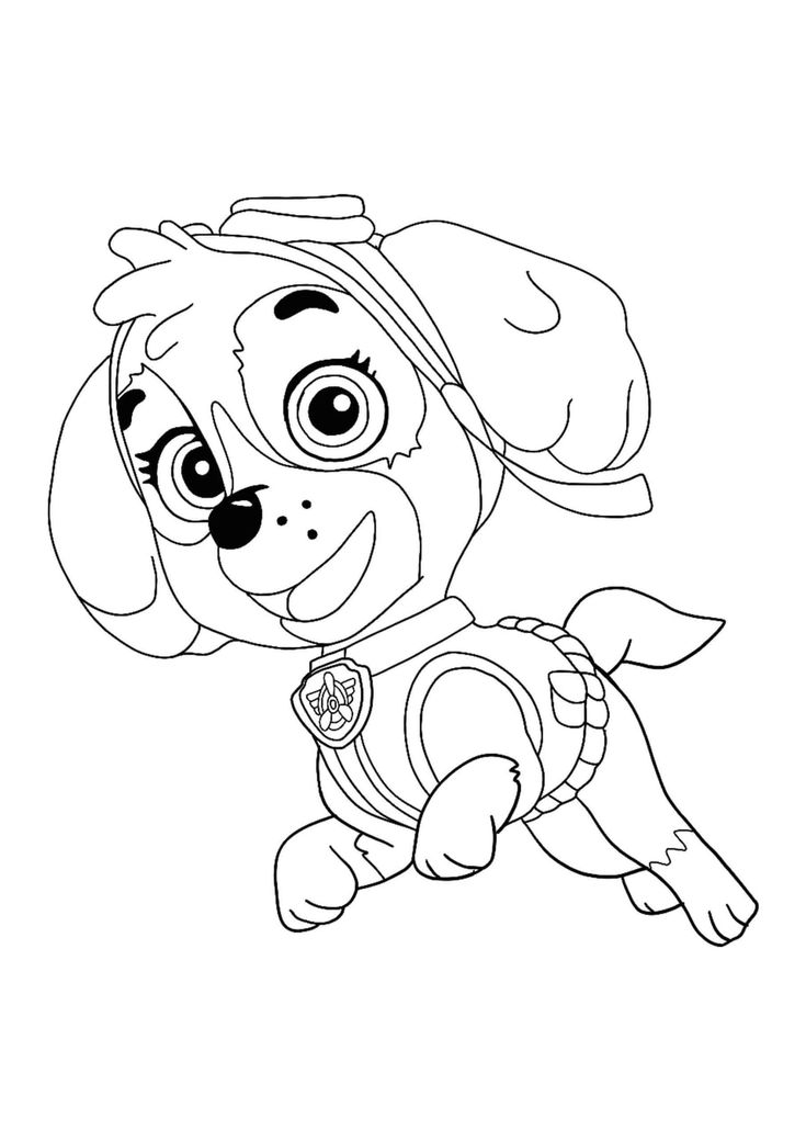 Paw patrol skye coloring sheet paw patrol coloring paw patrol coloring pages coloring pages
