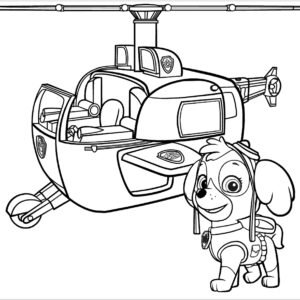 Skye paw patrol coloring pages printable for free download