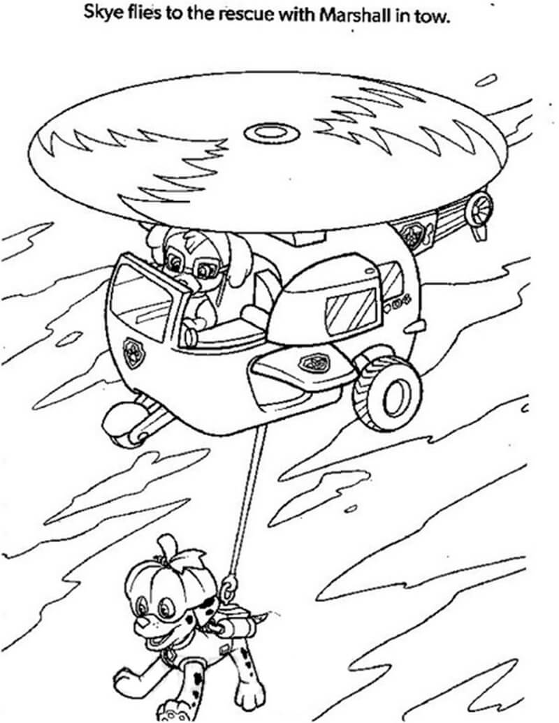 Skye paw patrol fãrbung seite