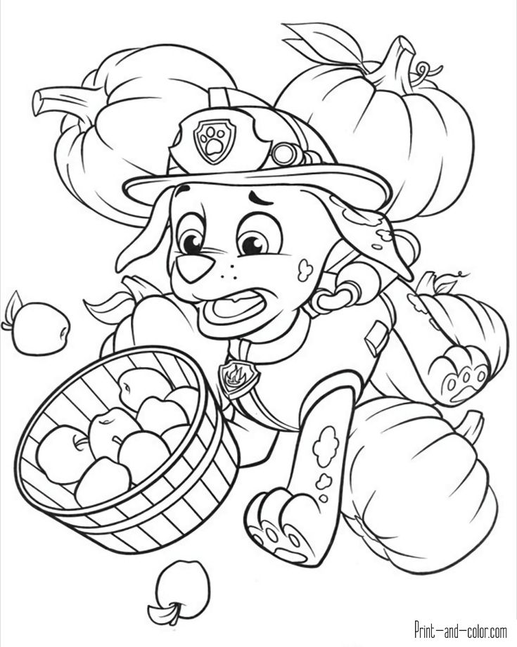 There are many high quality paw patrol coloring pages for your kids