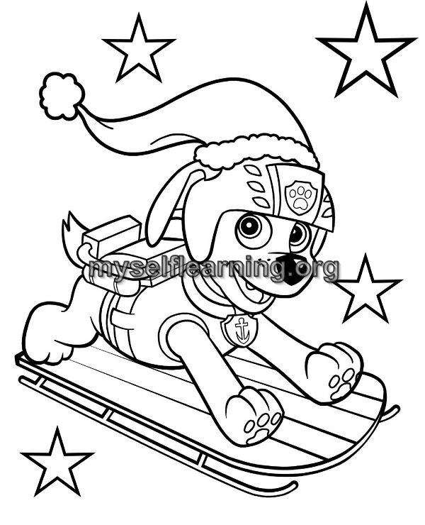 Paw patrol cartoons coloring sheet instant download