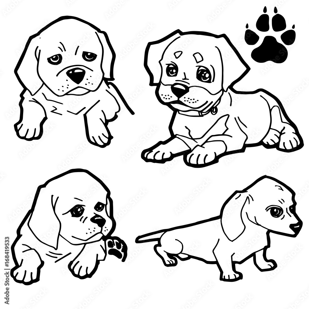 Dog cartoon and dog paw print coloring book on white background vector vector