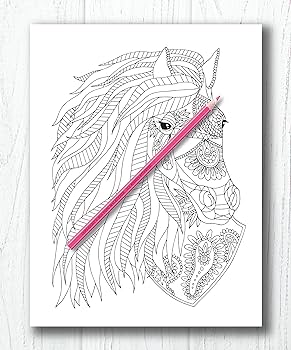 Adult coloring book horses bonus over free coloring pages pdf to print art coloring books books