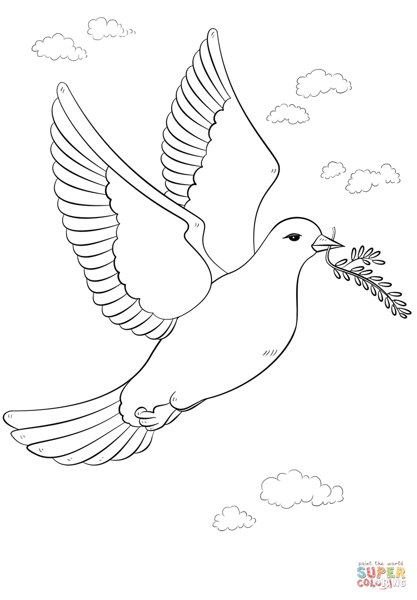 Peace dove with olive branch coloring page free printable coloring pages