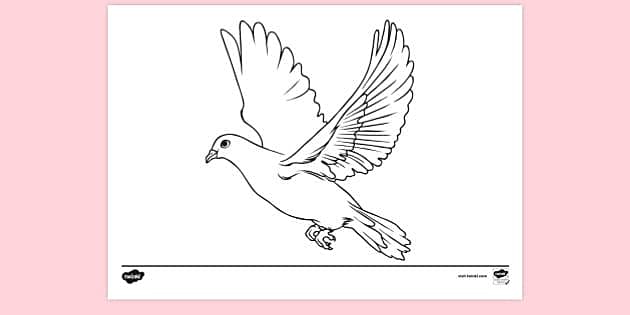 Free
