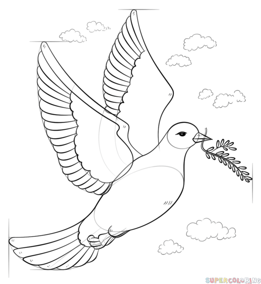 How to draw a peace dove with olive branch step by step drawing tutorials