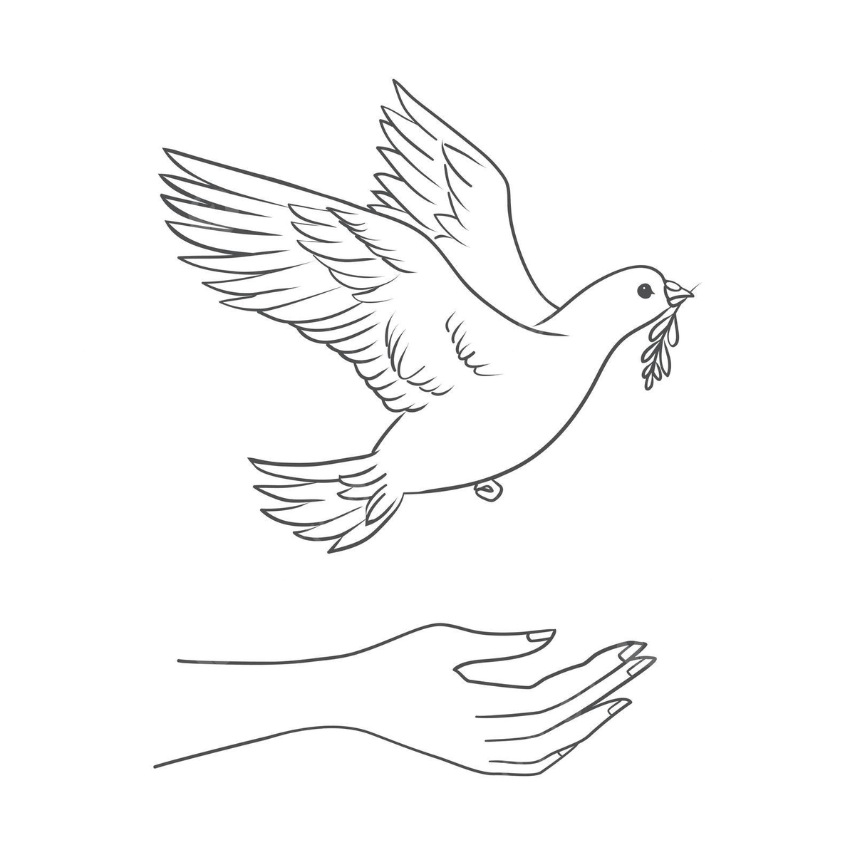 Flight of a peace dove carrying an olive branch with downwardturned wings vector leaf pigeon olive png and vector with transparent background for free download