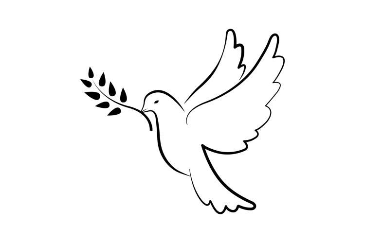 Dove of peace symbol dove with olive branch