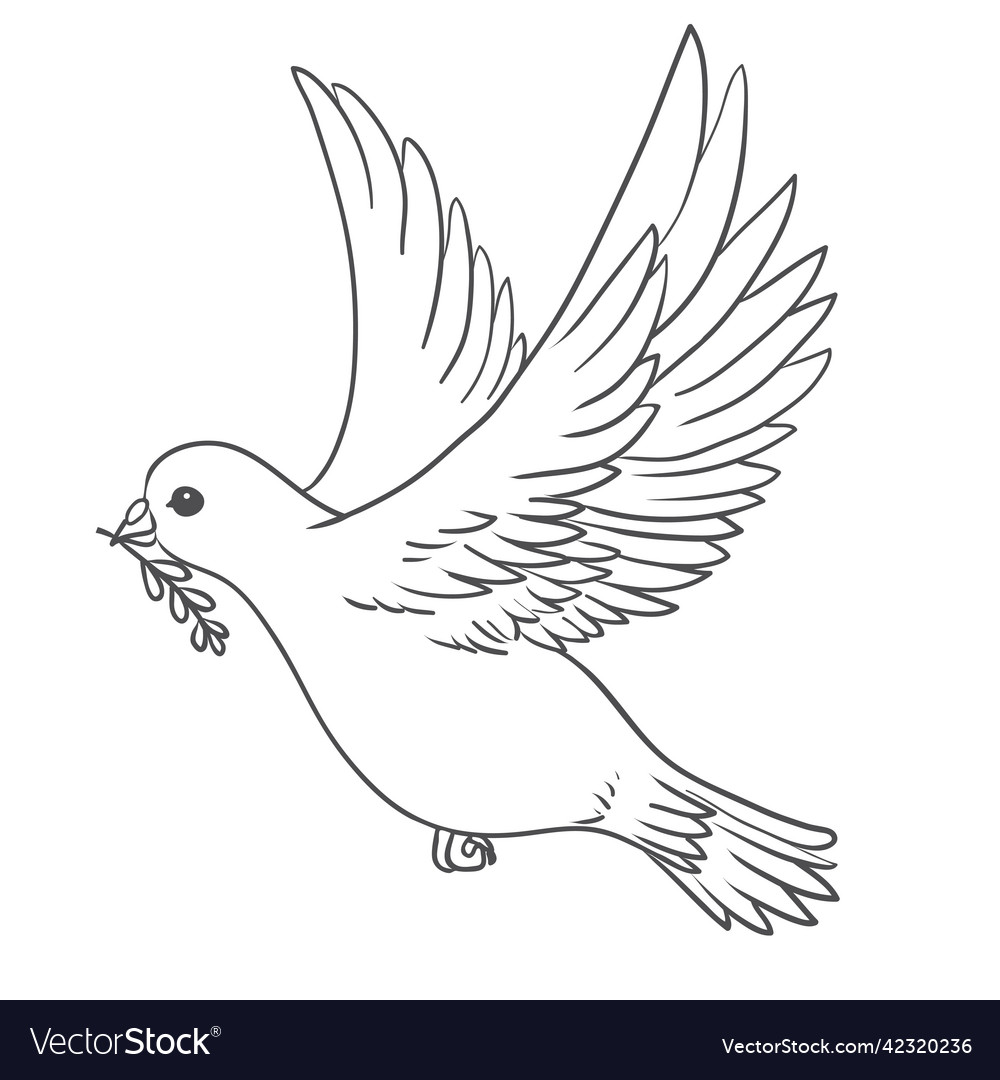 Peace dove with olive branch in the beak flying vector image