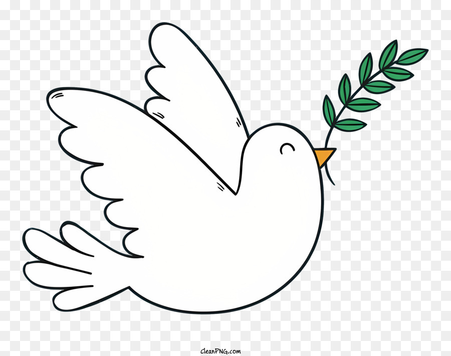 White dove with olive branch symbolizes peace png download