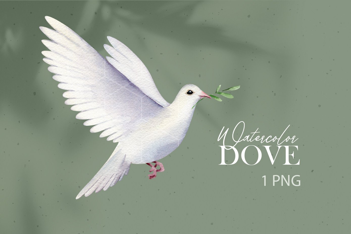 Dove with olive branch clipart peace dove clipart png