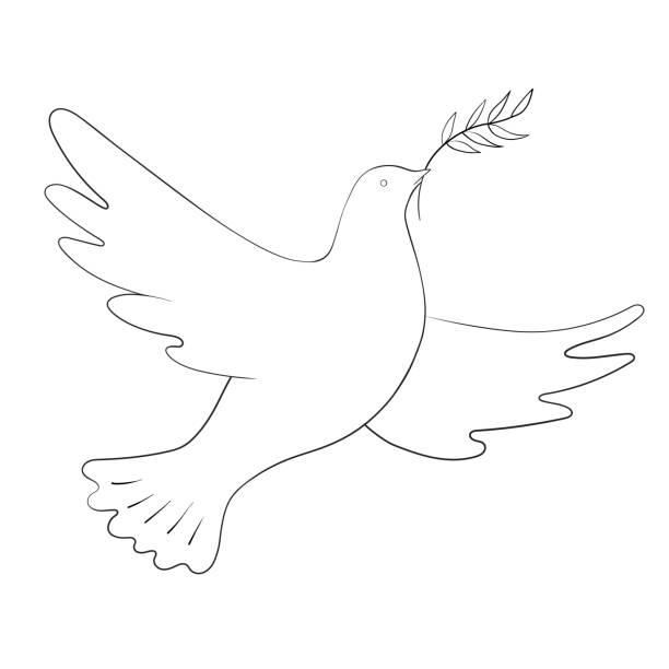 Cartoon of dove olive branch stock illustrations royalty