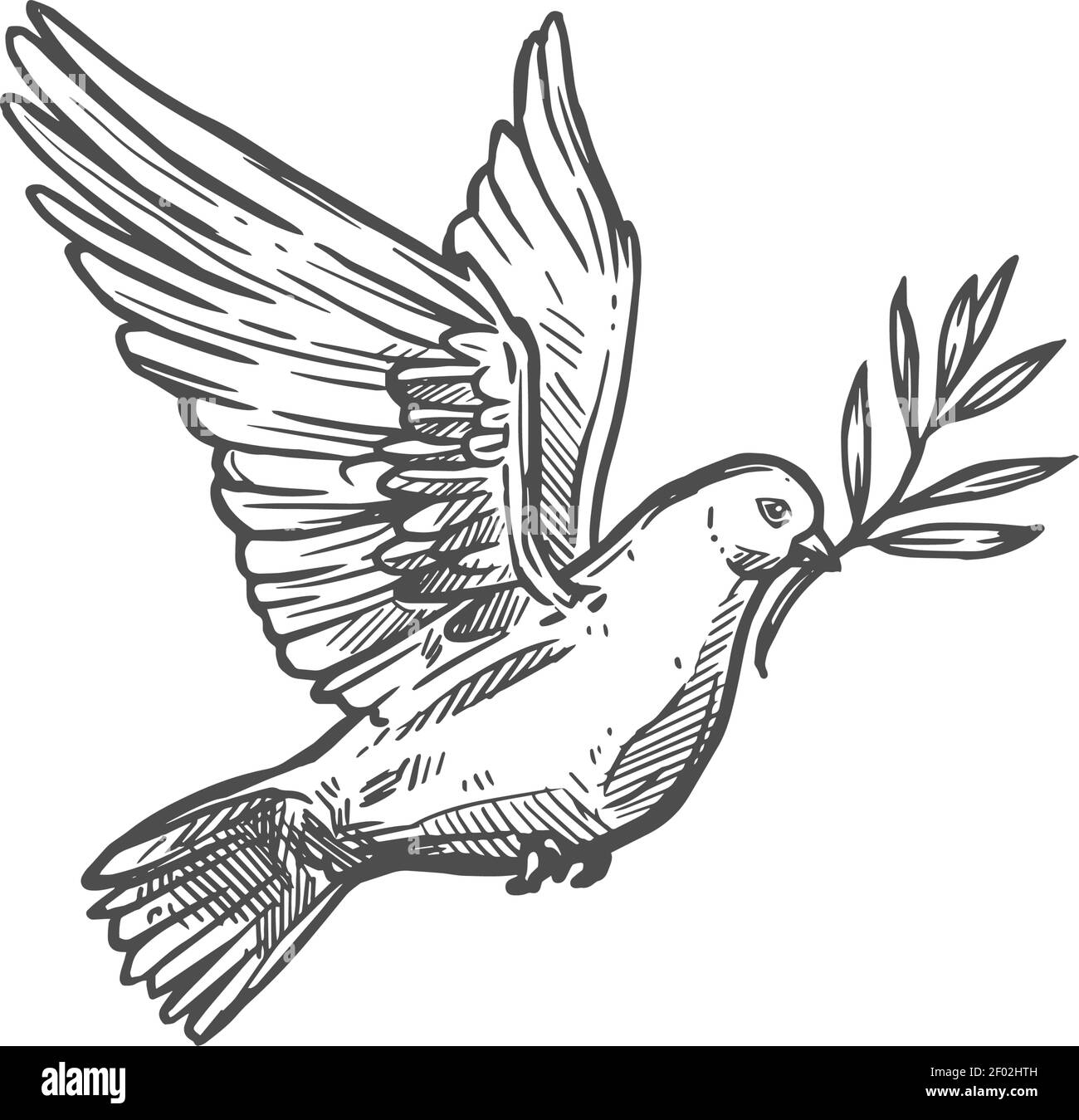 Dove flying with olive branch vector dove pigeon easter religious sketch icon stock vector image art