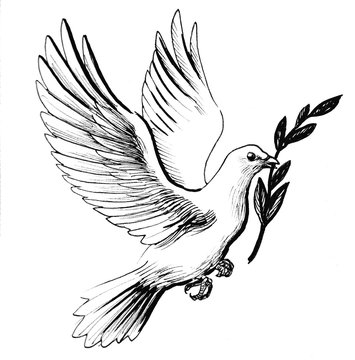 Flying white dove with olive branch as a symbol of peace retro styled black and white ink drawing illustration