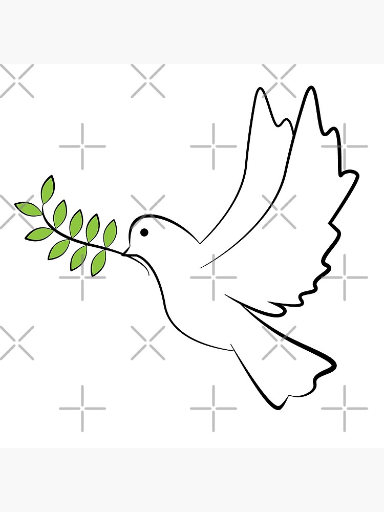 Dove of peace dove postcard by idesign
