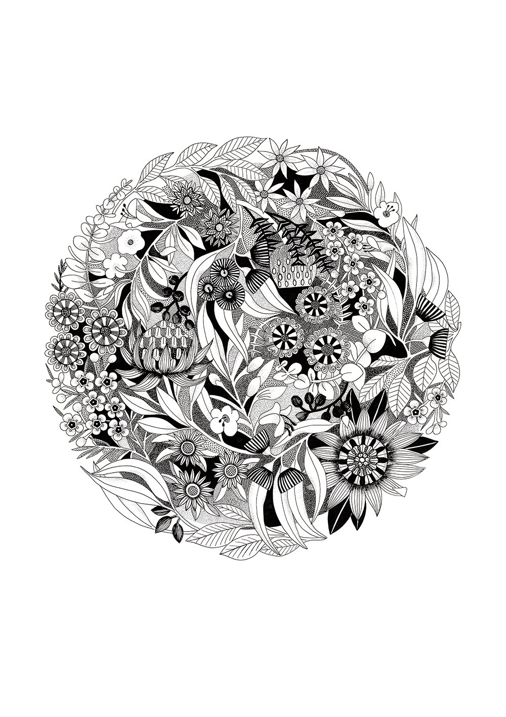 Original black and white illustraltion