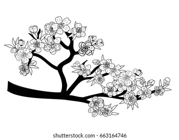 Doodle art peach blossom plant sakura stock vector royalty free