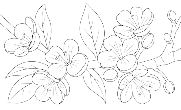 Premium vector coloring page of a peach blossom hand drawn flowers