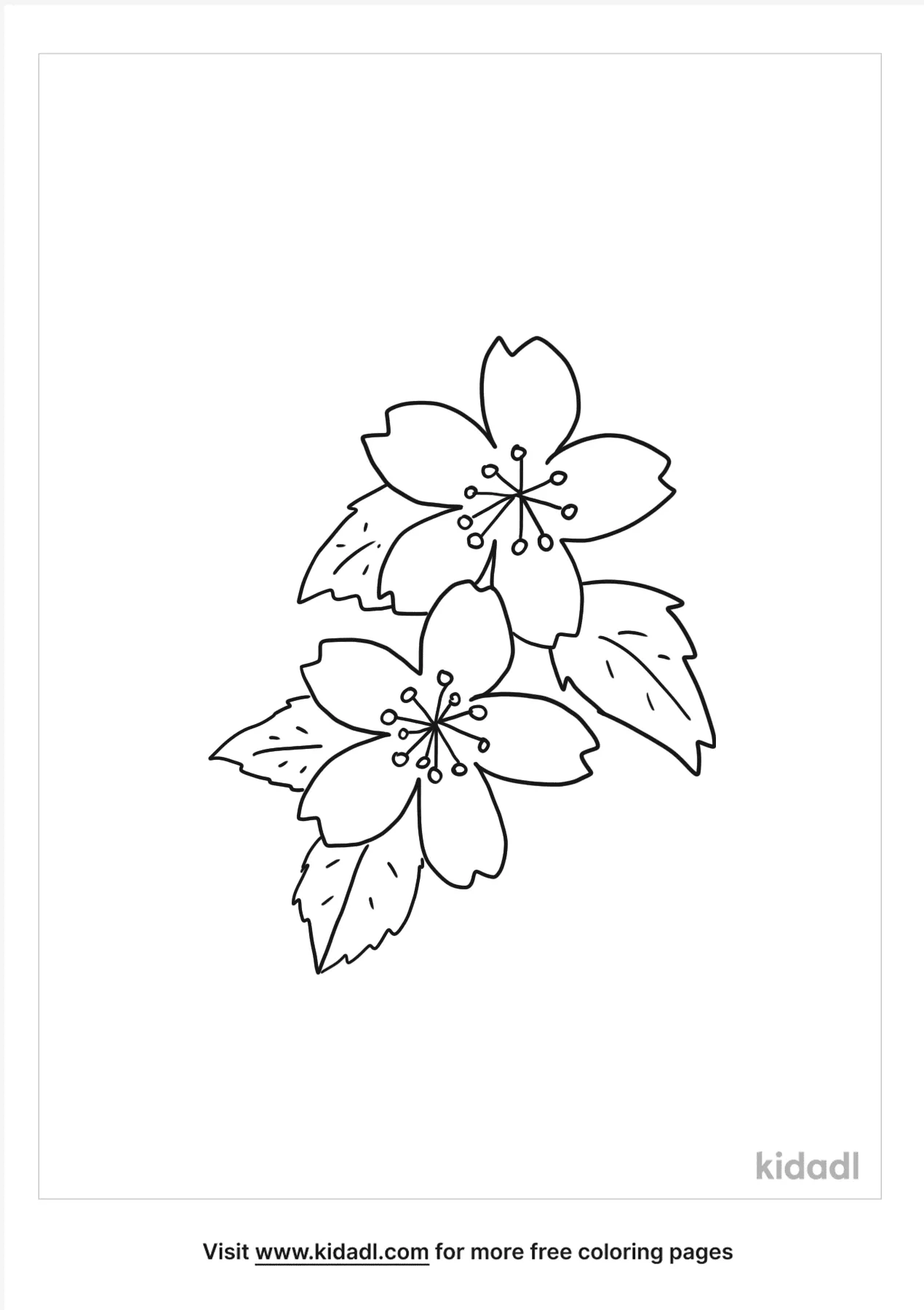Free peach blossom flower coloring page coloring page printables