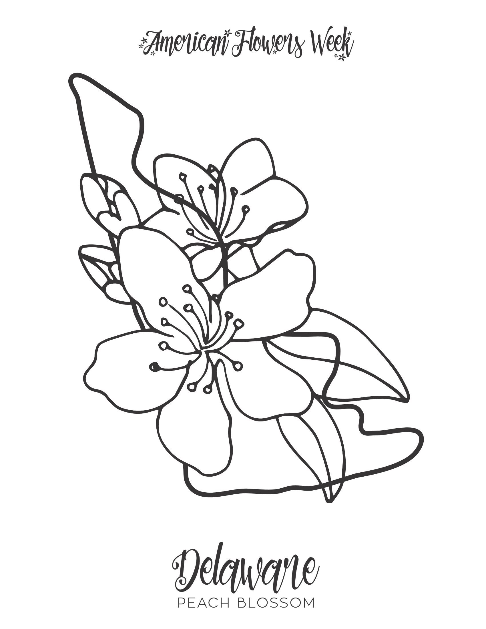 State flowers â free coloring pages â american flowers week